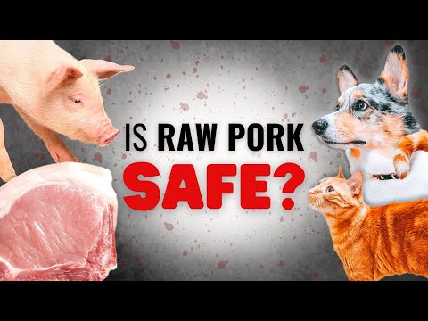 Is Raw Pork Dangerous For Your Pet?