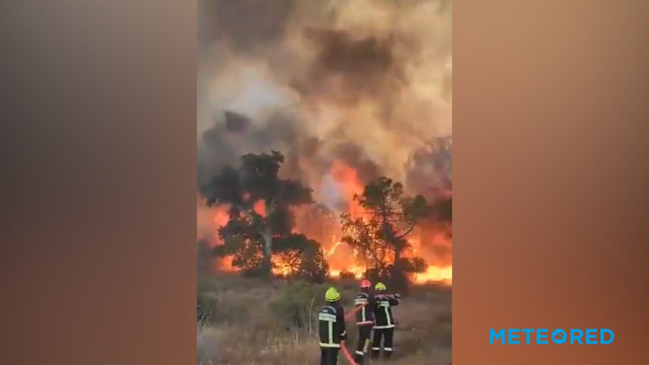 youtube video id=4Ofd4lXSV9M