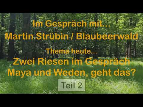 Weden & Maya-Kosmologie: Ein Gespräch zwischen Engelsburg Martin und Blaubeerwald Martin Teil2