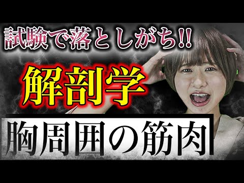医学科 【解剖学】これで完璧!!解剖学の胸周囲の筋肉について網羅