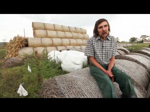 Városon kívüli találkozások