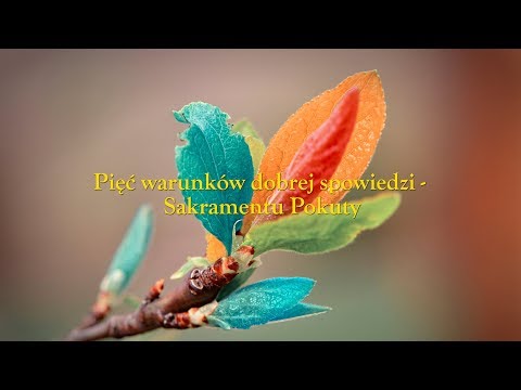 Pięć warunków dobrej spowiedzi (wolniej z napisami, w akompaniamencie padającego deszczu)