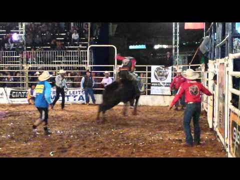 Allan Moraes x Cia Bulls