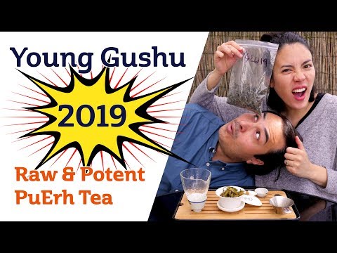RAW & POTENT PUERH TEA - YOUNG GUSHU 2019