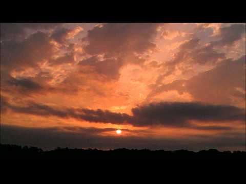 Pequena Flor by Alberto Iglesias