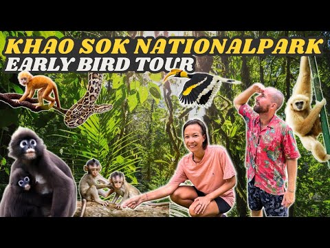 Ausflug in den Khao Sok Nationalpark 🐍🐒🦜 Early Bird Tour