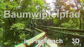 preview picture of video '3D Baumwipfelpfad bei Fischbach/ Dahn in 3 D Go Pro 3 D System'
