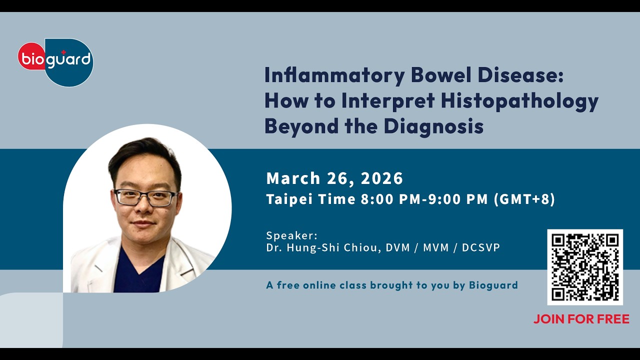 Inflammatory Bowel Disease: How to Interpret Histopathology Beyond the Diagnosis