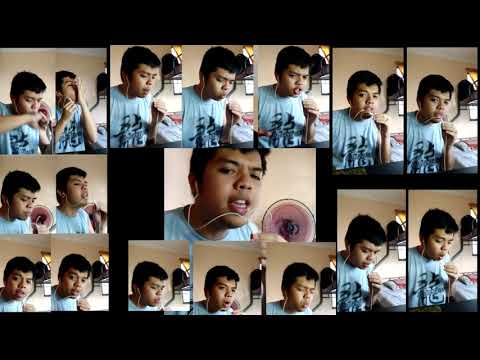 Man of Music (Panther Dance by THePETEBOX Future Loops) loop cover