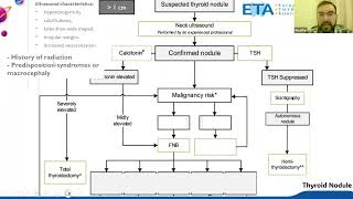 Thyroid Nodule in Pediatrics (children and adolescents), ETA flowchart/Guideline 2022