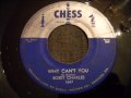 Bobby Charles - Why Can't You - Good Mid Tempo 50's R&B / swamp pop