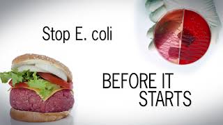 Download lagu How to Stop E. coli Before It Starts mp3 Download lagu How to Stop E. coli Before It Starts mp3