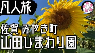 【凡人旅】山田ひまわり園に行く