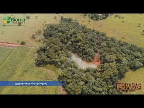 EXCELENTE OPORTUNIDADE! | FAZENDA SANTA LUZIA | TERRARAS IMÓVEIS RURAIS