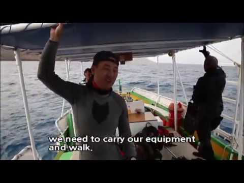 [World Theme Travel] Malta, the Timeless Isle Part 3.Gozo, Malta’s Natural Gem