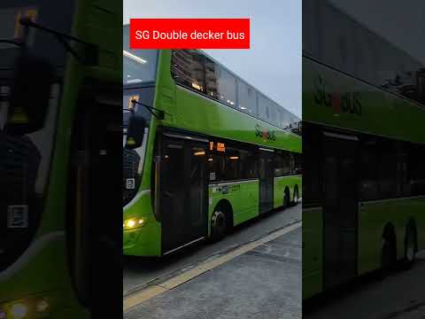 Singapore Double Decker Bus #singapore #doubledecker #bus