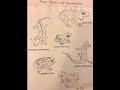 Amphibians Frogs Toads Salamanders Zoology Worksheets 5 Y
