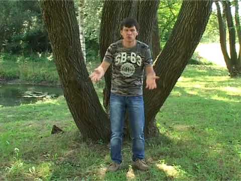 Zlatko Nedeljko Pepsi - Na grobju