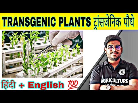 defination allopolyploid allopolyploid kya hai allopolyploid in hindi what is allopolyploid