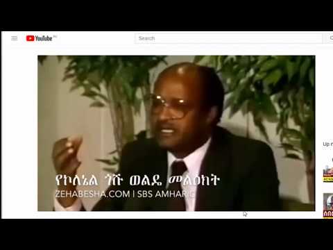 Colonel Goshu Wolde Endorses Dr Abiy Ahmed