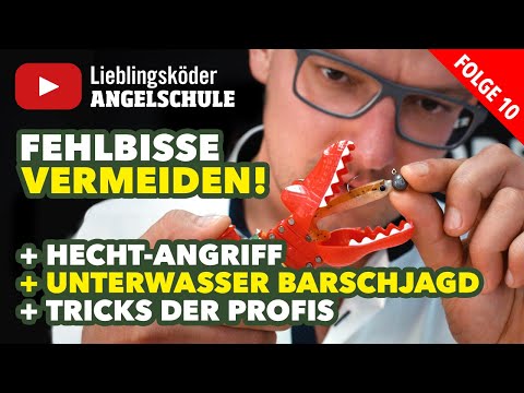 So vermeidest du Fehlbisse! Angeln auf Barsch, Zander und Hecht mit Gummifisch (Staffel 1, Folge 10)