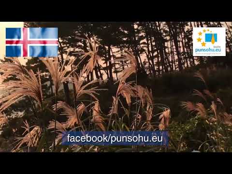 Doni të punoni në Islandë ? Ja si mund të aplikoni...