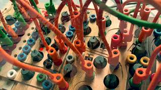 Video thumbnail for Call of the wild.Ciat Lonbarde Plumbutter 2 by Jensens Music