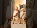 Dubi Dubi Dum Dum Baby And Dog Dance Together Cutebaby Baby Funny Puppy Dog Dance Shortsfeed