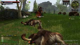 Dk Online: First Impression leveling to 10 gameplay (2019)