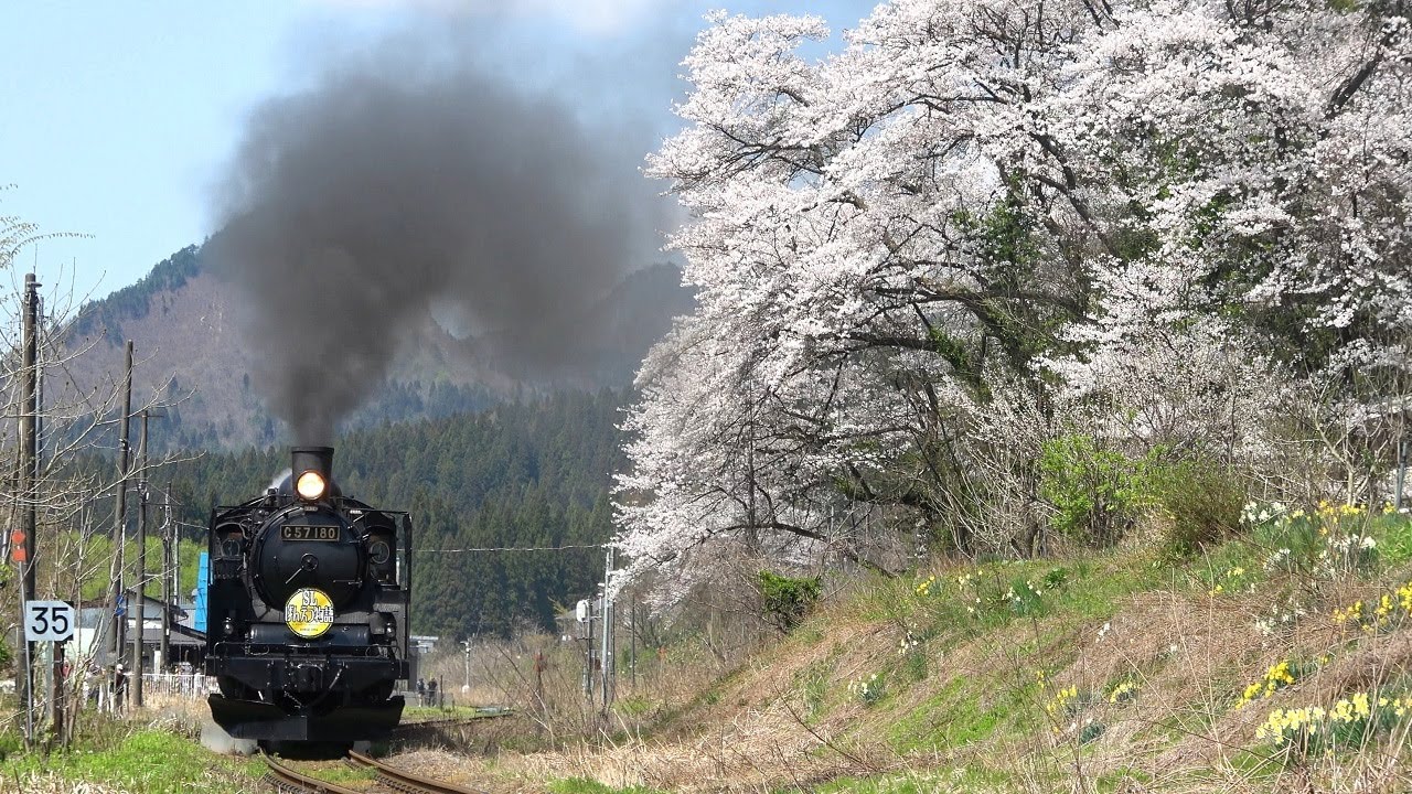 【C57 180】桜が満開の磐越西線を『ＳＬばんえつ物語』が激走！！
