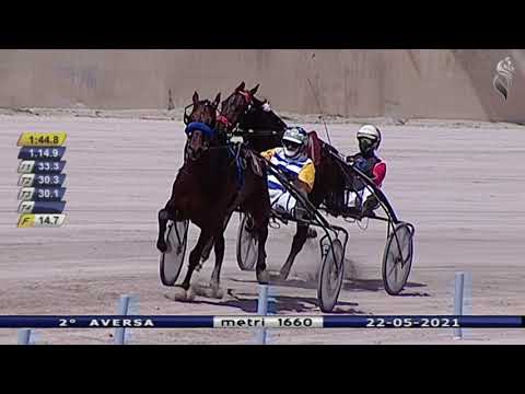 Aversa trotto 22 Maggio 2021 - 2° Corsa