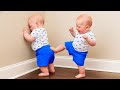 A MUST Cute Baby Siblings Compilation 2025 Funny Babies Video COOL PEACHY