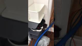 Cleaning Project Company - Hard Floor cleaning