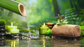 Pause Garden - Open Heart Music - Helios 4k