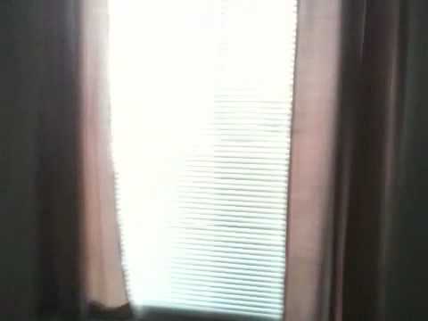 Hawthorne House for Rent