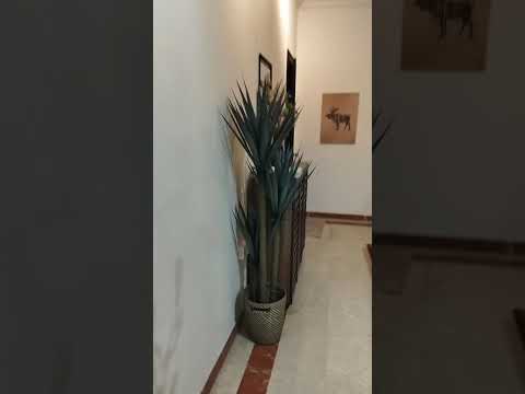 The Quayside, 60 Robertson Quay, Orchard / River Valley, Room Rental, 100 sqft, Apartment For Rent, by Christopher Yeo, 500253284 - PropertyGuru.com.sg