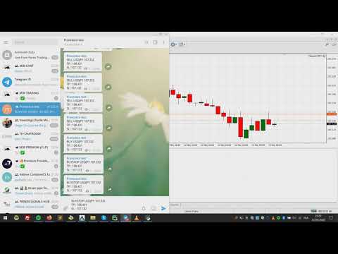 Video Telegram to MT4 Bridge