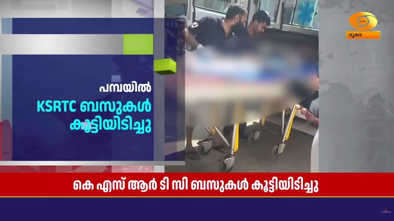 പമ്പയിൽ വാഹനാപകടം, 30 തീർത്ഥാടകർക്ക് പരിക്ക്