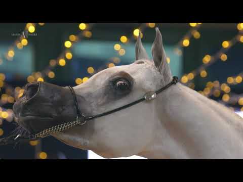 ✨🌹 FANATICAA 🌹✨ - Perfection...right where it belongs