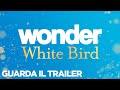WONDER: WHITE BIRD - Trailer Ufficiale - dal 4 gennaio al cinema