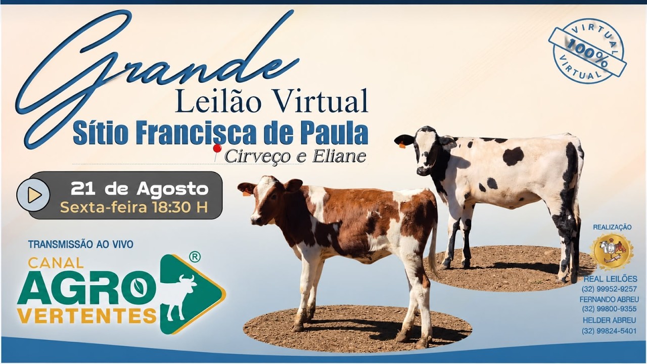 GRANDE LEILÃO SÍTIO FRANCISCA DE PAULA - CIRVEÇO E ELIANE - SÃO JOÃO DEL REI/MG - 21/08/2026