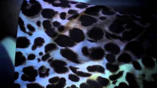 Mel of The Outfit, TX - Drunk Driving Co-Starring Mehgan James (Prod. by Dorian)