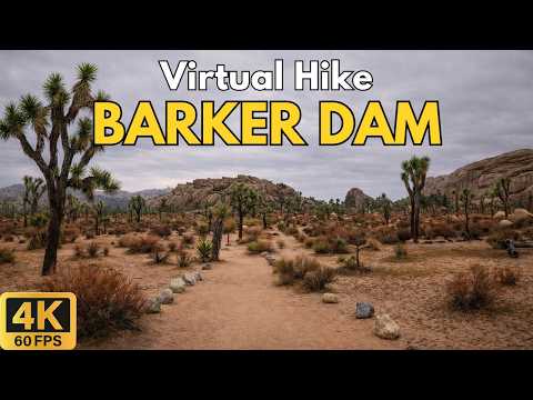 29 Minute Rainy Day Hike at Barker Dam Trail, Joshua Tree National Park | 4K Treadmill Video