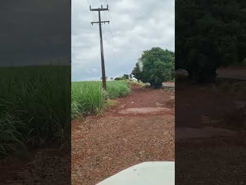 bandeirantes Paraná