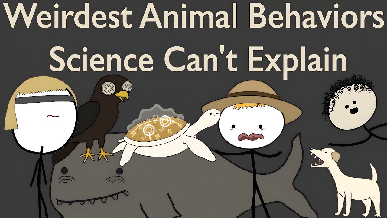Weirdest Animal Behaviors Science Cant Explain