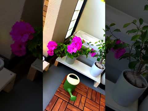 amenagement-balcon-chaises-métal-galettes-tapis-guirlande-lumineuse-lierre-onagre aménagement balcon