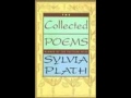 Wuthering Heights, a Poem by Sylvia Plath 