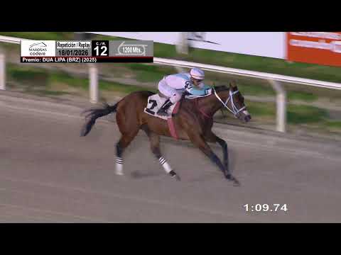 CARRERAS MARONAS 18/1/26 | EN VIVO | URUGUAY