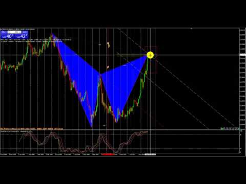 Weekly Forecast 17 Of January 2016