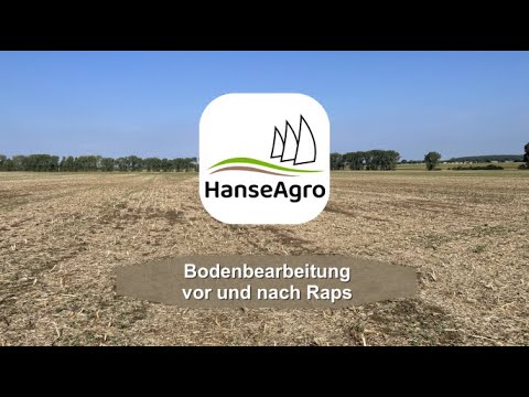 Bodenbearbeitung vor und nach Raps